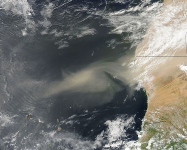 A NASA MODIS satellite image taken on September 14 shows a cloud of dust carried by strong winds from sources in the Western Sahara. The trade winds transport the dust westward to the United States, the Caribbean, and South America. Photo credit: NASA.